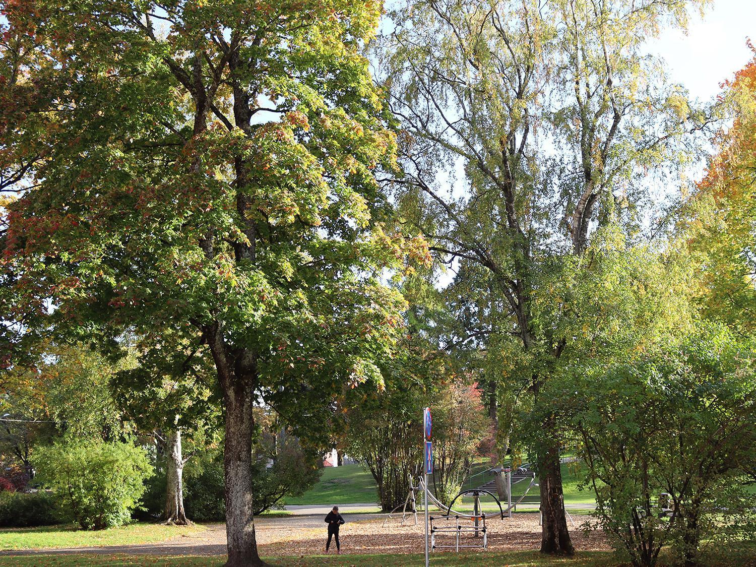 Hostel Louna Pärnu Eksteriør bilde